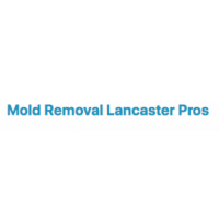 Mold Removal Lancaster Pros