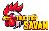 Trực tiếp đá gà