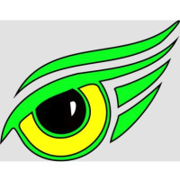 Eagle Eye Mold Inspection of South Florida