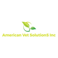 American Vet Solutions Inc