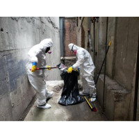 Las Vegas Mold Removal Testing and Inspection