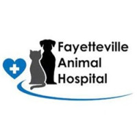 Fayetteville Animal Hospital