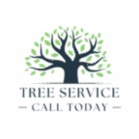 Tree Service Elmhurst IL