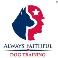 Always Faithful Dog & Puppy Training Charlotte NC