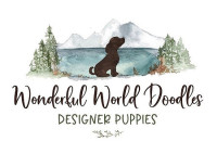 Wonderful World Doodles
