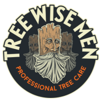Tree Wise Men Professional Tree Care