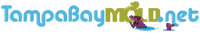 Wesley Chapel Mold Remediation Experts