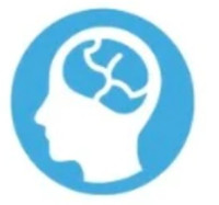 Insight Diagnostics Global