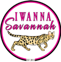 I Wanna Savannah