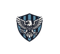 Liberty Vigilance Protection LLC