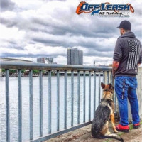 Off Leash K9 Training Portland