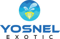 Yosnel Exotic