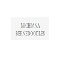 Michiana Bernedoodles