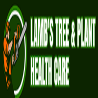 Expert Tree Service Near Me in Westbrook, CT