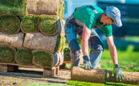 Desert Escapes Landscaping LLC