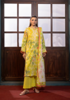 Lawn Collection in sharajah