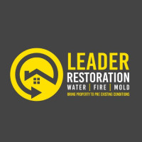 Leader Restoration