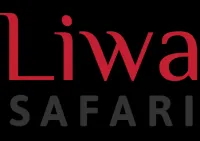 Liwa Desert Safari Abu Dhabi