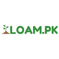 Buy Online plants In Pakistan
