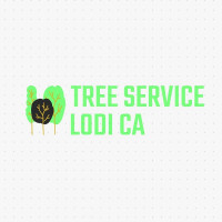 Lodi Tree Service Pros
