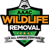 AAAC Wildlife Removal of Texas Gulf Coast