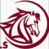 Horse Saddle Deals