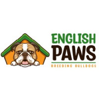 English Bulldogs Grooming