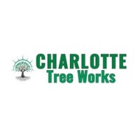 Charlotte Tree Removals