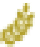 Sky Rye Design