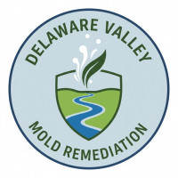 Delaware Valley Mold Remediation