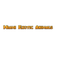 Rent Exotic Animals South Florida for Big and Small Events