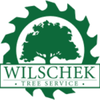 Wilschek Tree Service