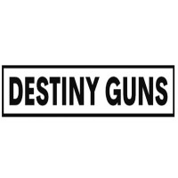 Destiny GunsReplicas Toy Pistols