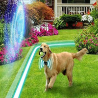 Invisible Dog Fence Installation