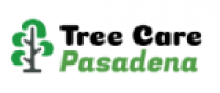 Tree Service Pasadena