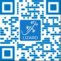Specjalistyczny serwis informatyczny - IT Lizard
