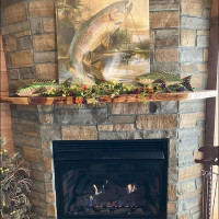 Cole's Fireplace Service and Repair