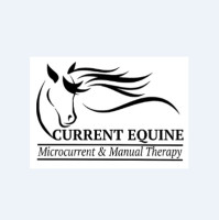 Current Equine-Microcurrent and Manual Therapy