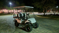 Bluffton Golf Carts (Bluffton Golf Cart Rentals)