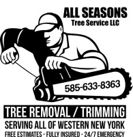 all seasons tree services ny