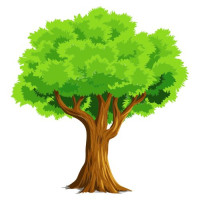 Columbus Tree Trimming