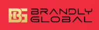 Best Influencer Marketing Company and Creator in India | Brandly Global