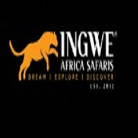 Cape Town Safari Day Trip | Ingwe Africa Safaris