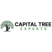 Capital Tree Experts LLC