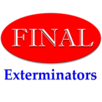 Final Exterminators