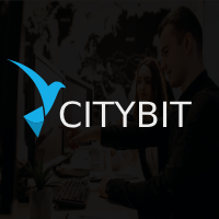 USA Travel Guide by Citybit Travel