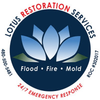 Lotus Restoration