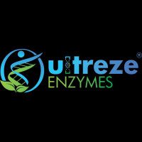 Trusted Bromelain & Lactase Enzyme Manufacturers in india