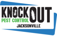 Knockout Termite Control & Treatment Jacksonville