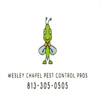 Wesley Chapel Pest Control Pros